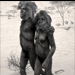 Caveman And Cavewoman